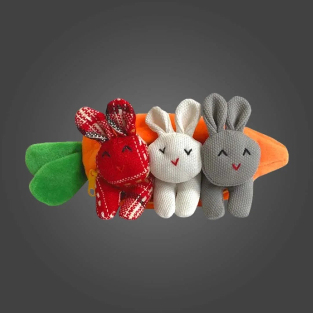 Carrot Pouch Hide-and-Seek Bunnies